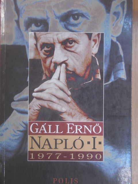 Gálfalvi Zsolt - Napló I. [antikvár]