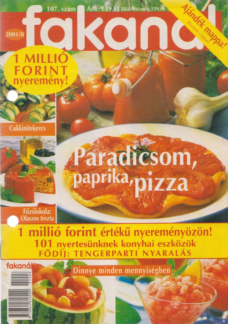 Erdélyi Z. Ágnes - Fakanál 2001/8 [antikvár]