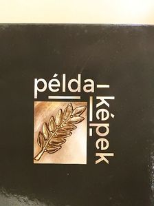 Példa-képek [antikvár]