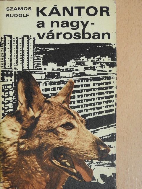 Szamos Rudolf - Kántor a nagyvárosban [antikvár]