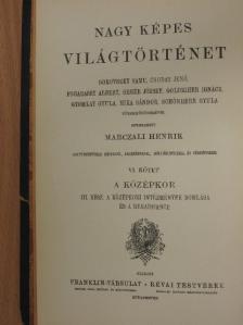 Dr. Csuday Jenő - Nagy képes világtörténet VI. (rossz állapotú) [antikvár]