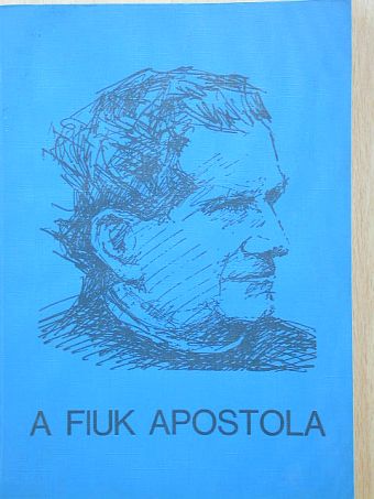 Dr. Lukács István - A fiuk apostola [antikvár]