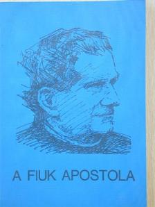 Dr. Lukács István - A fiuk apostola [antikvár]