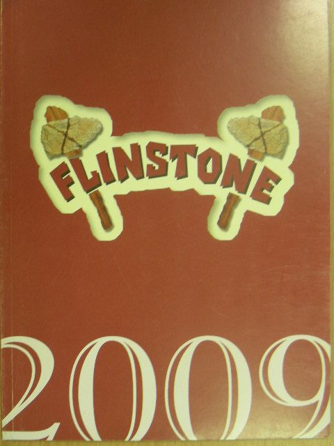 Mayer Ferenc - Flinstone 2009 [antikvár]