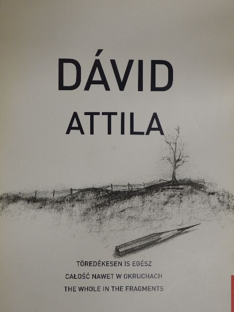 Dávid Attila - Töredékesen is egész [antikvár]
