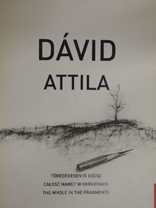 Dávid Attila - Töredékesen is egész [antikvár]