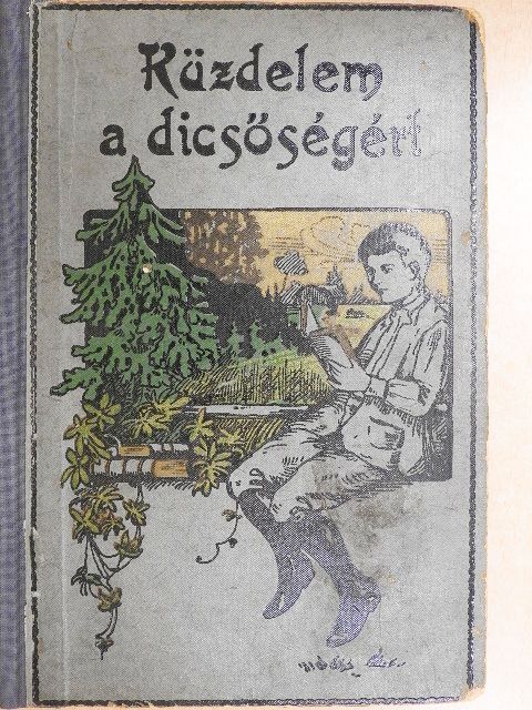 Ujfalussy Amadil - Küzdelem a dicsőségért [antikvár]