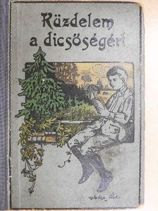 Ujfalussy Amadil - Küzdelem a dicsőségért [antikvár]