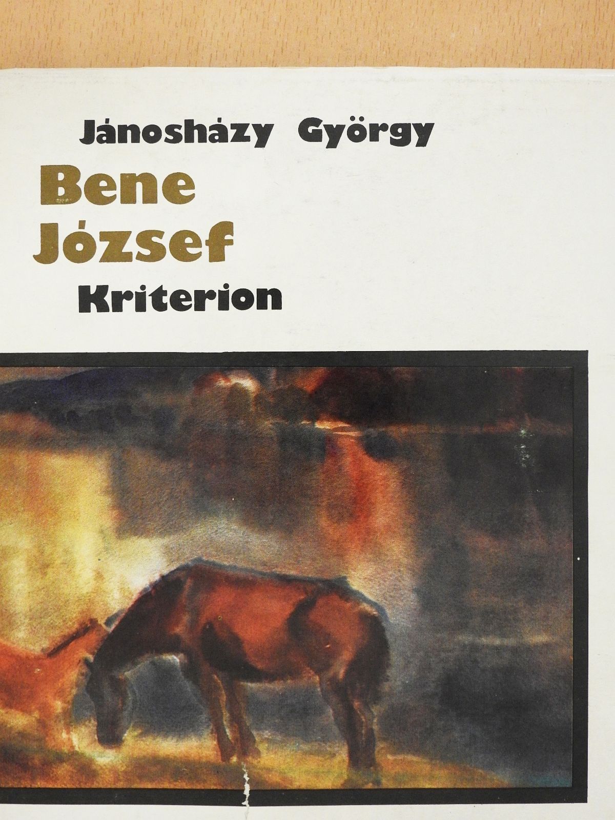 Jánosházy György - Bene József (dedikált példány) [antikvár]