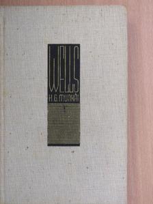 H. G. Wells - Mr. Polly lázadása [antikvár]