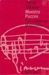 Bókay János - Maestro Puccini [antikvár]