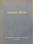 Dr. Kessler Hubert - Budapest hévizei [antikvár]