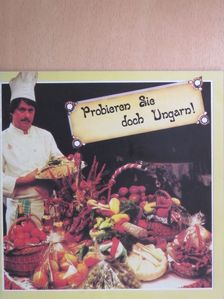 Bodó Ferenc - Probieren Sie doch Ungarn! [antikvár]
