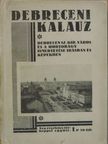 Dr. Ecsedi István - Debreceni kalauz [antikvár]