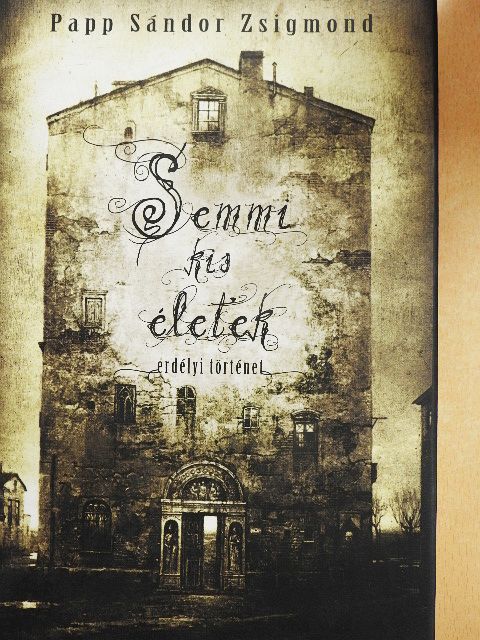Papp Sándor Zsigmond - Semmi kis életek [antikvár]
