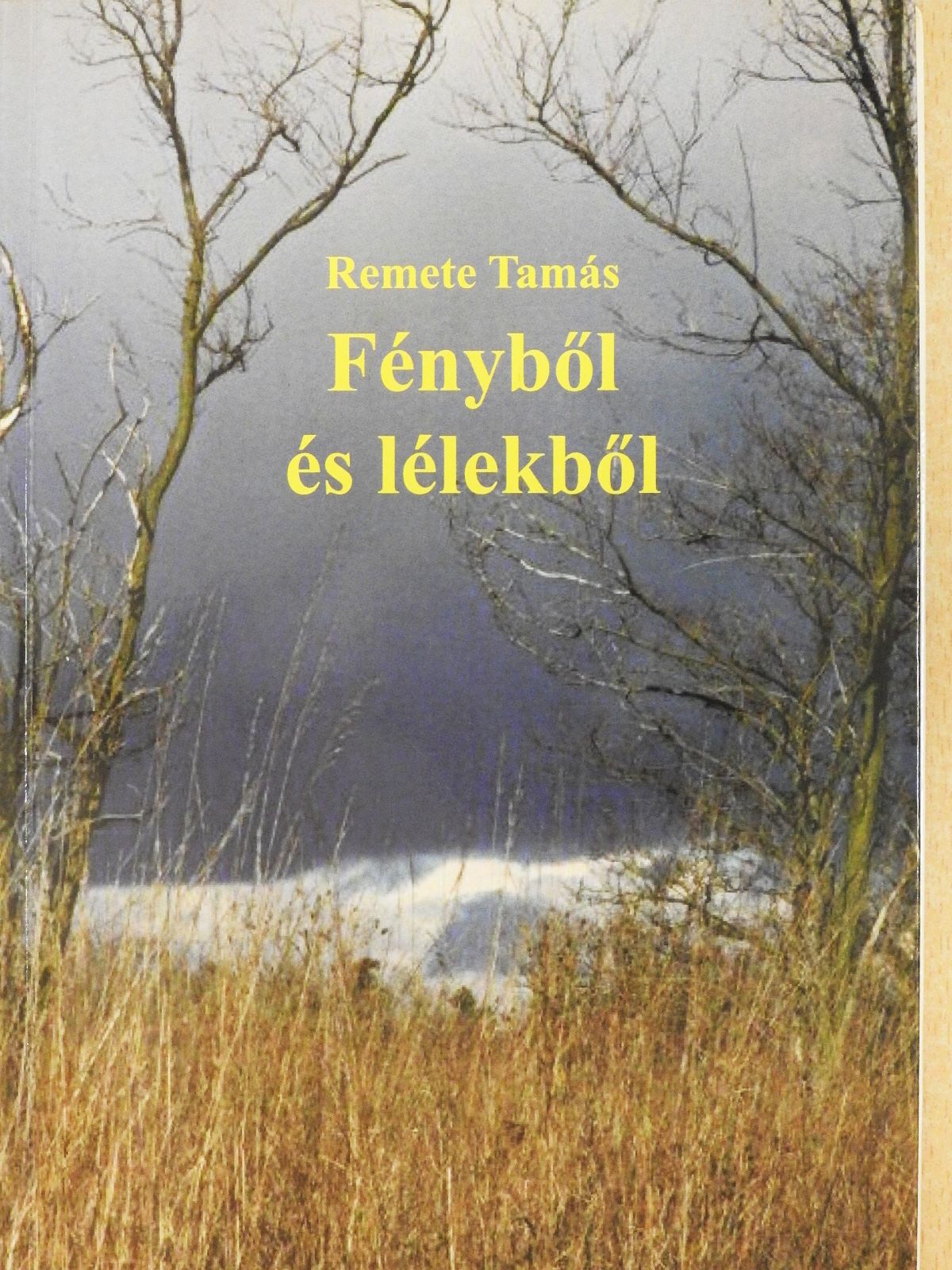 Remete Tamás - Fényből és lélekből (dedikált példány) [antikvár]