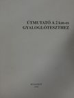 Elja Hynninen - Útmutató a 2 km-es gyaloglóteszthez [antikvár]