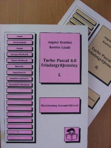 Angster Erzsébet - Turbo Pascal 6.0 feladatgyűjtemény I-II. [antikvár]