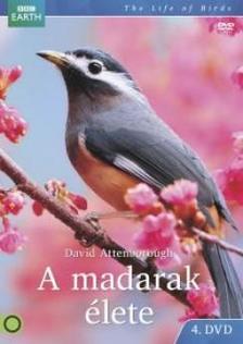 David Attenborough - A madarak élete 4. BBC - DVD