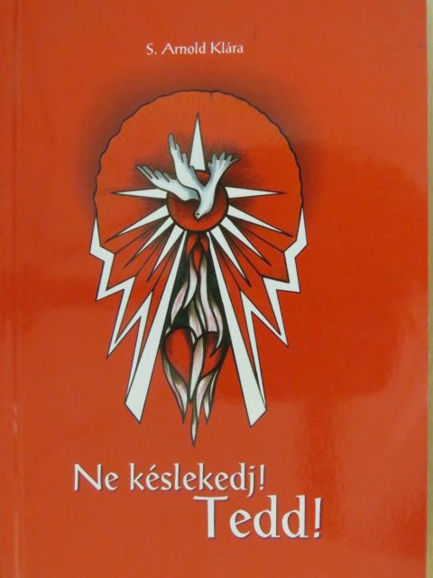 S. Arnold Klára - Ne késlekedj! Tedd! [antikvár]