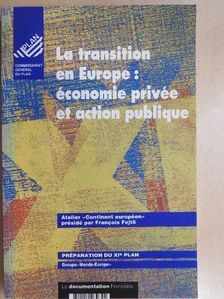 Jérome Sgard Cathereine de Montlibert - La transition en Europe [antikvár]