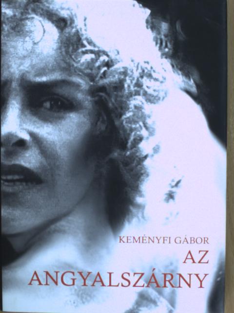 Keményfi Gábor - Az angyalszárny [antikvár]
