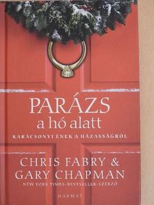 Chris Fabry - Parázs a hó alatt [antikvár]
