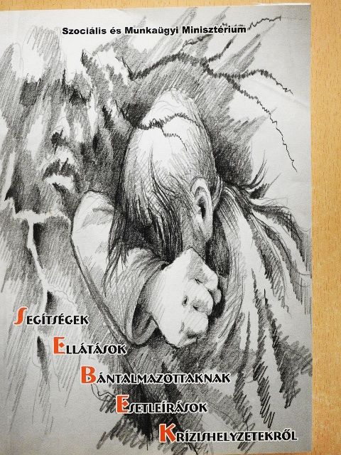 Bíró Dániel - SEBEK [antikvár]