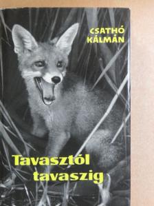 Csathó Kálmán - Tavasztól tavaszig [antikvár]