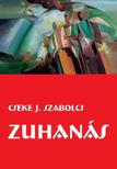 Cseke J. Szabolcs - Zuhanás - Egy replikátor kalandjai Káderisztánban [antikvár]