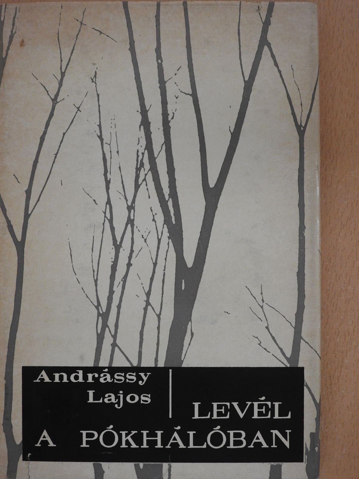 Andrássy Lajos - Levél a pókhálóban (dedikált példány) [antikvár]