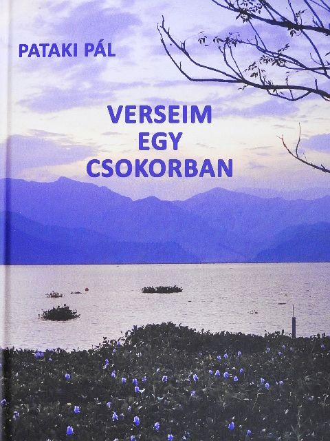 Pataki Pál - Verseim egy csokorban [antikvár]