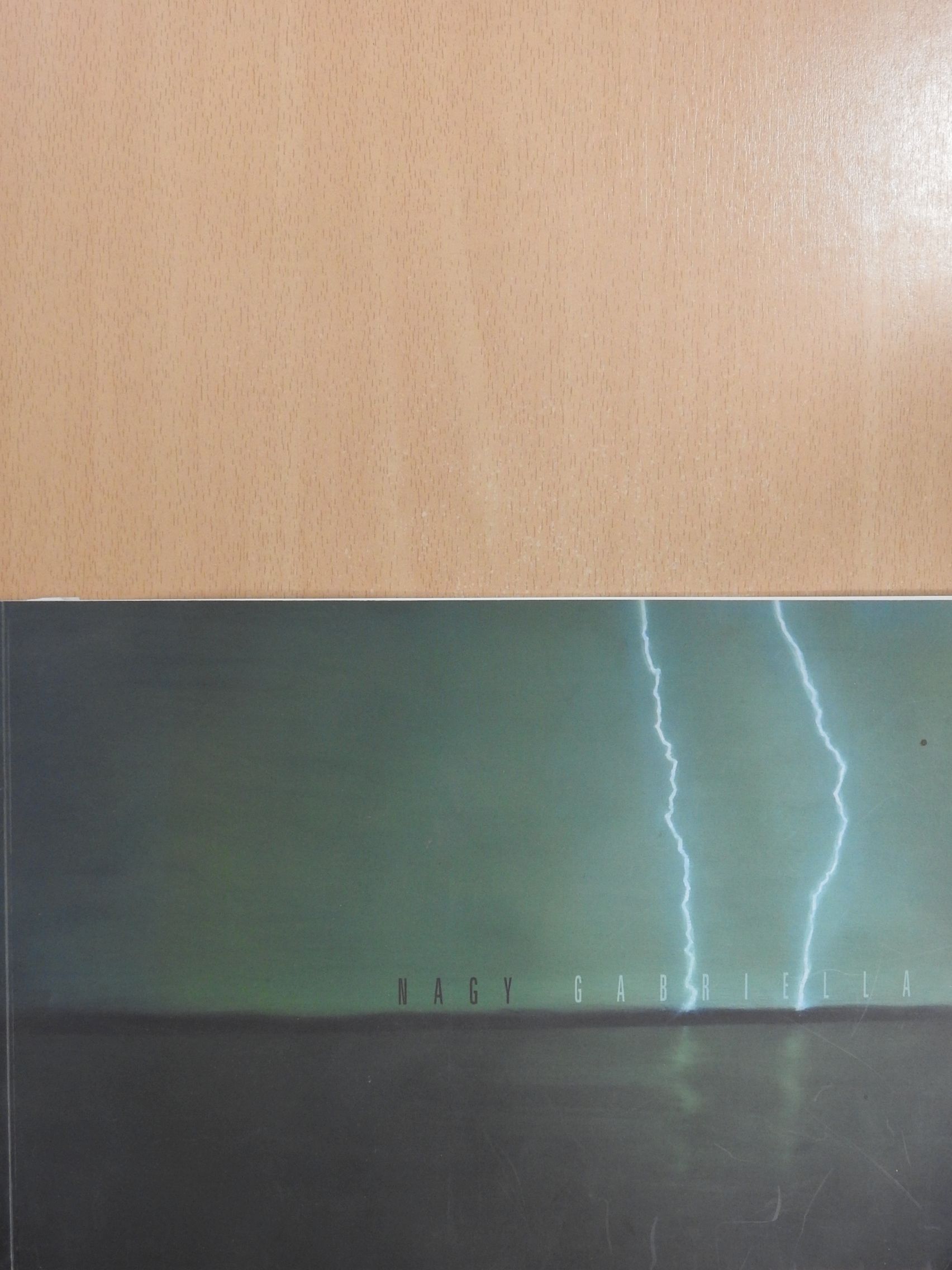 Nagy Gabriella - Festmények/Paintings 2002-2004 (dedikált példány) [antikvár]