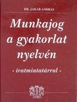 Dr. Fekete Zsuzsanna - Munkajog a gyakorlat nyelvén [antikvár]