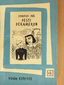Somogyi Pál - Pesti dekameron [antikvár]