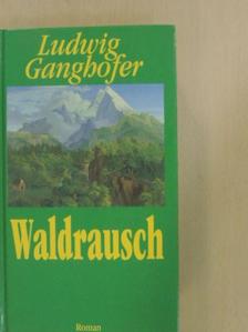 Ludwig Ganghofer - Waldrausch [antikvár]