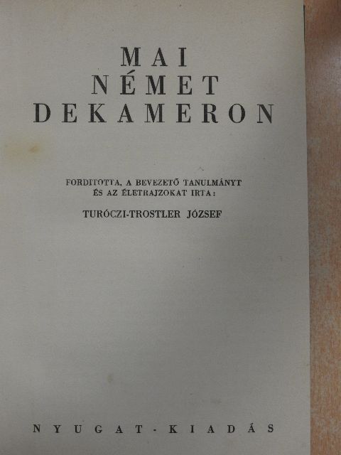 Arnold Zweig - Mai német Dekameron [antikvár]