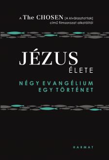 Laube Steve - Jézus élete - Négy evangélium, egy történet  [eKönyv: epub, mobi]