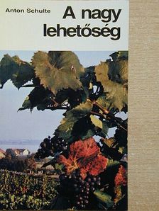 Anton Schulte - A nagy lehetőség [antikvár]