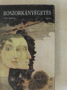 Václav Kaplicky - Boszorkányégetés [antikvár]