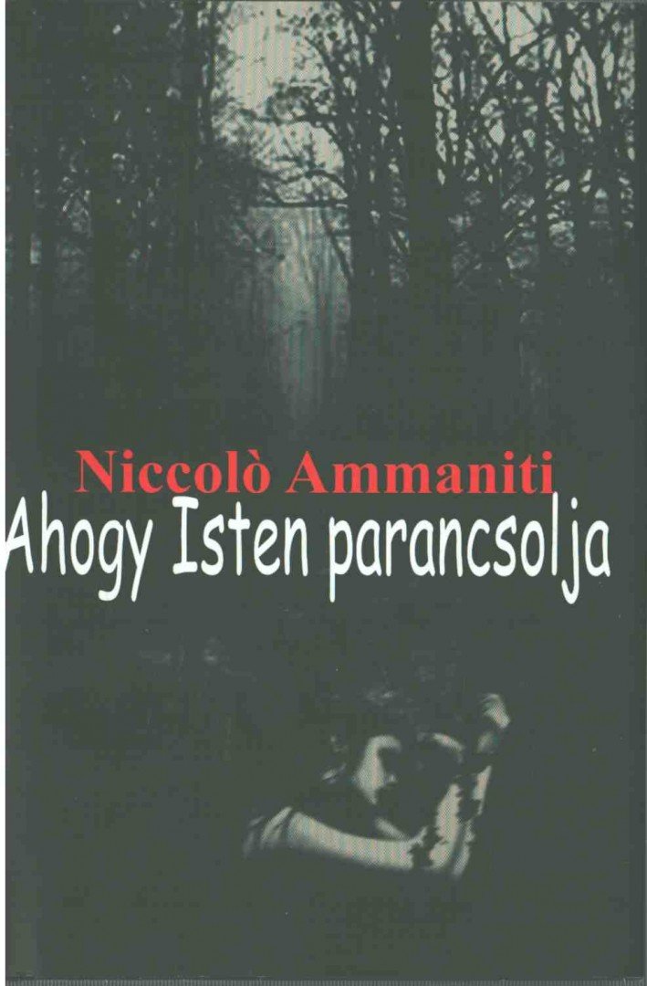 Niccolo AMMANITI - Ahogy Isten parancsolja [antikvár]