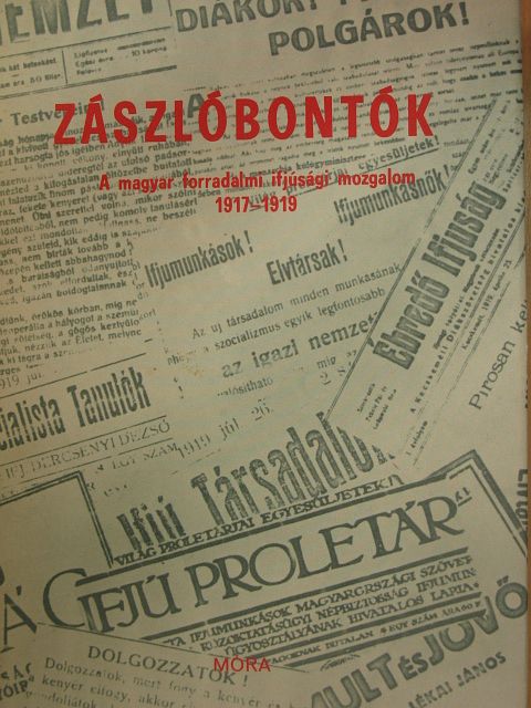 Boross F. László - Zászlóbontók [antikvár]