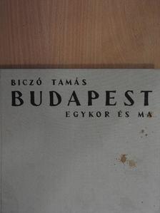 Biczó Tamás - Budapest [antikvár]