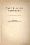 Kenéz Béla - Nagy elődök nyomában [antikvár]