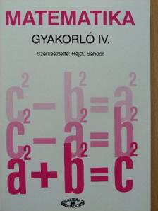 Dr. Czeglédy Istvánné - Matematika gyakorló IV. [antikvár]