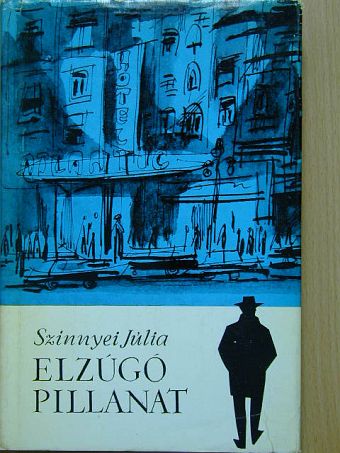Szinnyei Júlia - Elzúgó pillanat [antikvár]