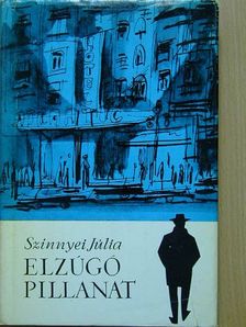 Szinnyei Júlia - Elzúgó pillanat [antikvár]