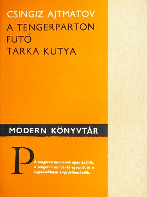 Csingiz Ajtmatov - A tengerparton futó tarka kutya [antikvár]