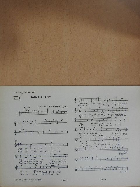 Bródy János - Hajnali lány [antikvár]