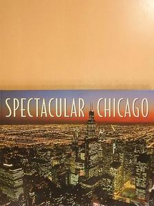 Thomas B. Allen - Spectacular Chicago [antikvár]